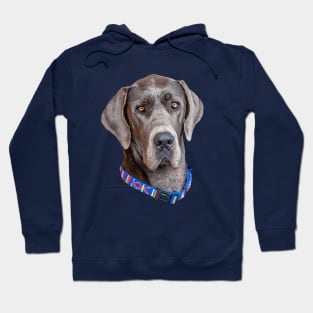 Head of a Blue Great Dane Hoodie